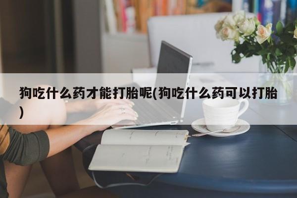 米非米索如何购买狗吃什么药才能打胎呢(狗吃什么药可以打胎)