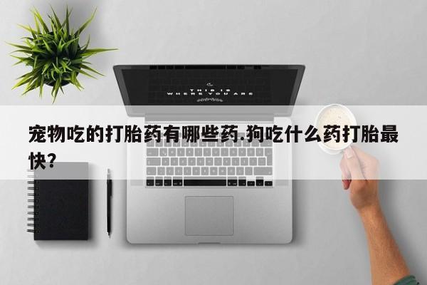 米非米索如何购买宠物吃的打胎药有哪些药.狗吃什么药打胎最快？