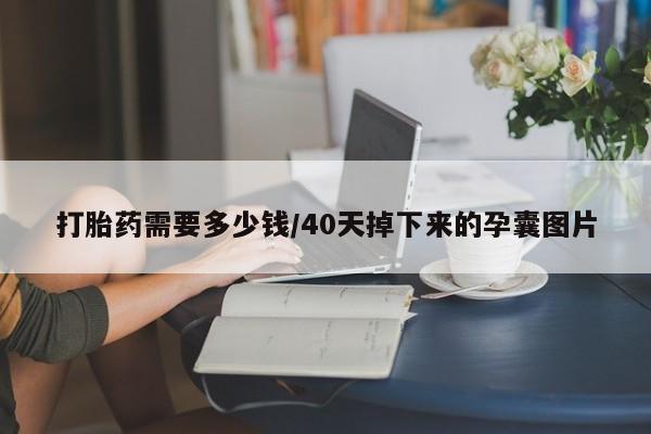 米非米索如何购买打胎药需要多少钱/40天掉下来的孕囊图片